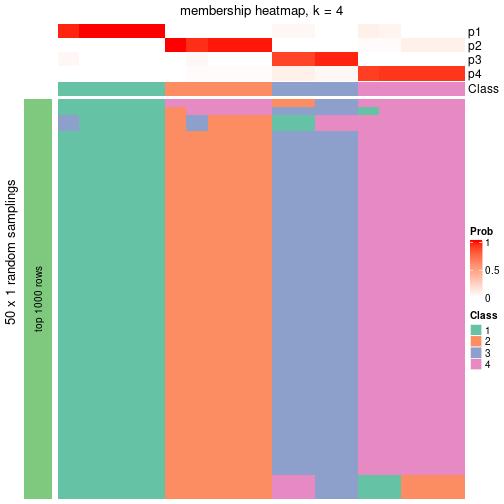 plot of chunk tab-node-02-membership-heatmap-3