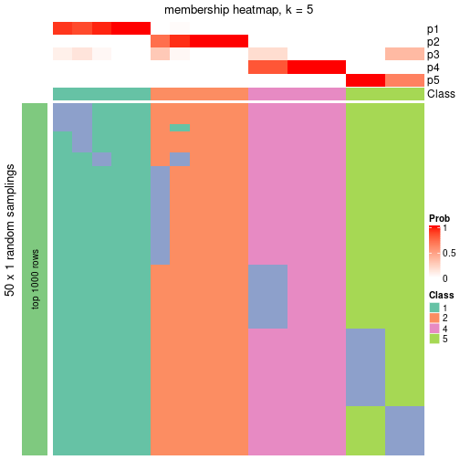 plot of chunk tab-node-02-membership-heatmap-4