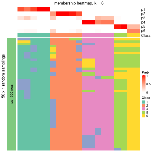 plot of chunk tab-node-02-membership-heatmap-5