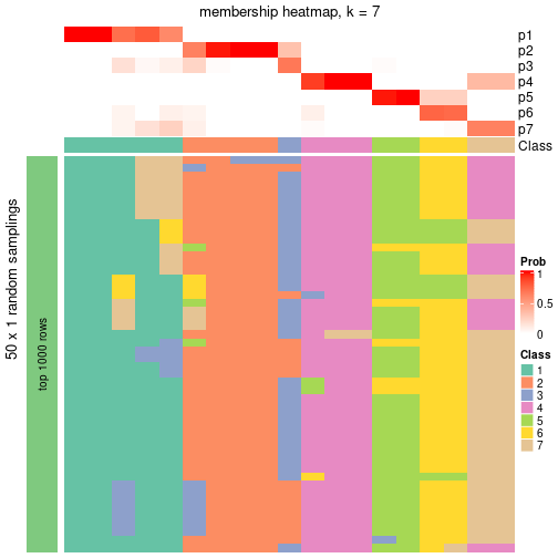 plot of chunk tab-node-02-membership-heatmap-6