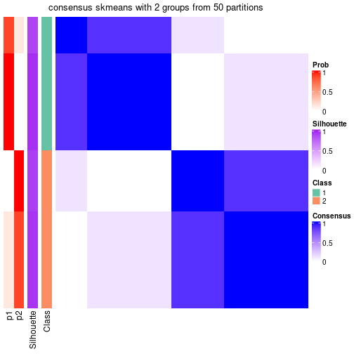 plot of chunk tab-node-03-consensus-heatmap-1