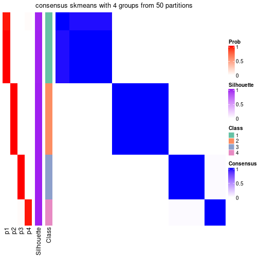 plot of chunk tab-node-03-consensus-heatmap-3