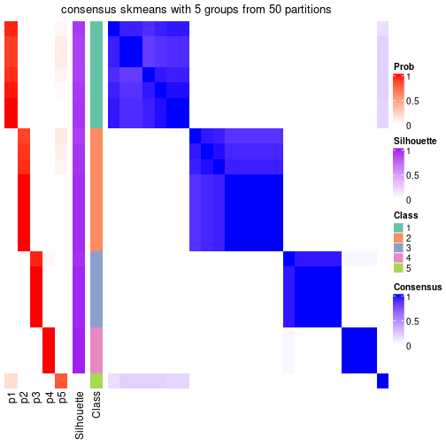 plot of chunk tab-node-03-consensus-heatmap-4