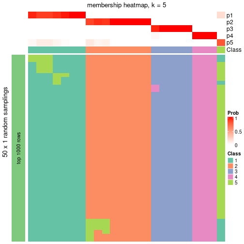 plot of chunk tab-node-03-membership-heatmap-4