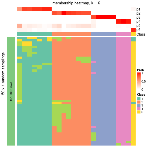 plot of chunk tab-node-03-membership-heatmap-5