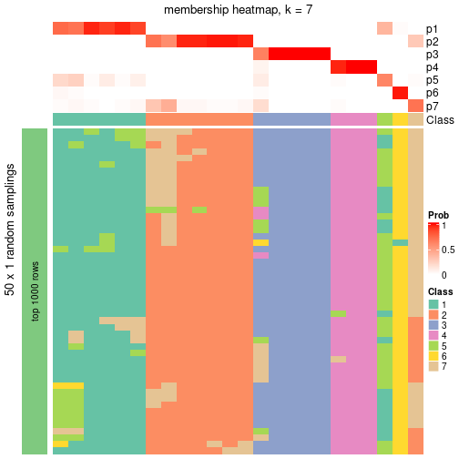 plot of chunk tab-node-03-membership-heatmap-6