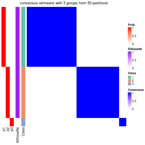 plot of chunk tab-node-04-consensus-heatmap-2