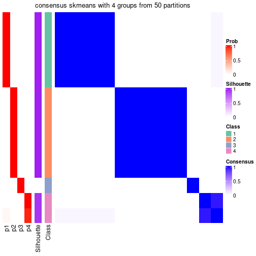 plot of chunk tab-node-04-consensus-heatmap-3