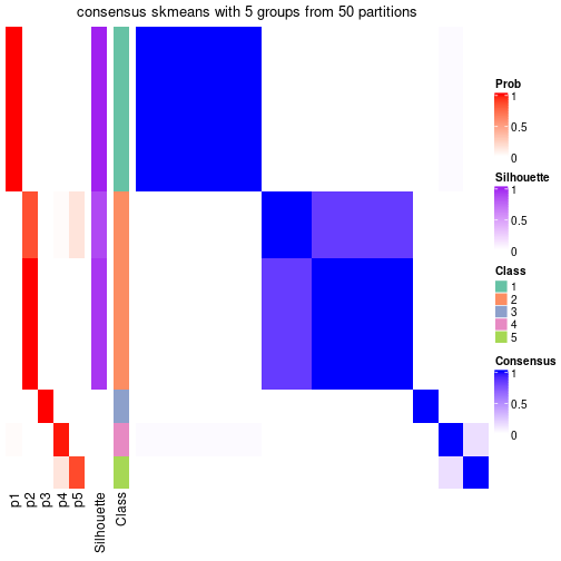 plot of chunk tab-node-04-consensus-heatmap-4