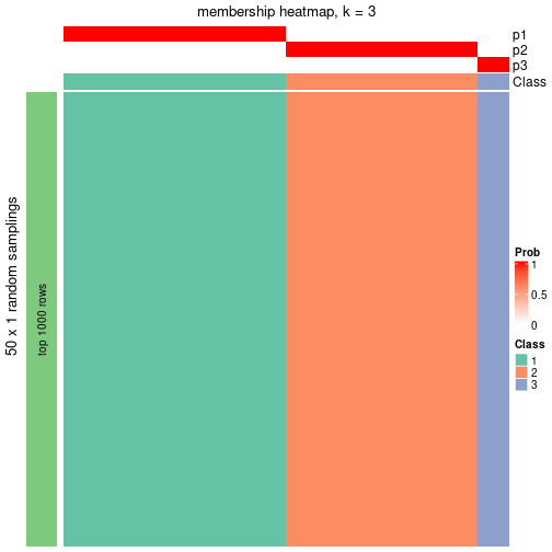 plot of chunk tab-node-04-membership-heatmap-2