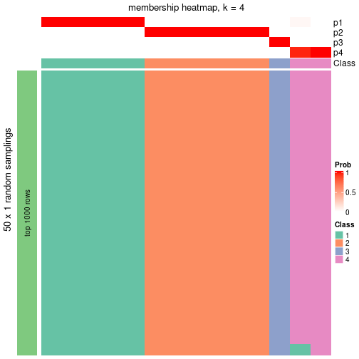 plot of chunk tab-node-04-membership-heatmap-3