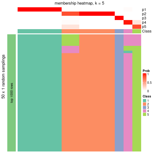 plot of chunk tab-node-04-membership-heatmap-4