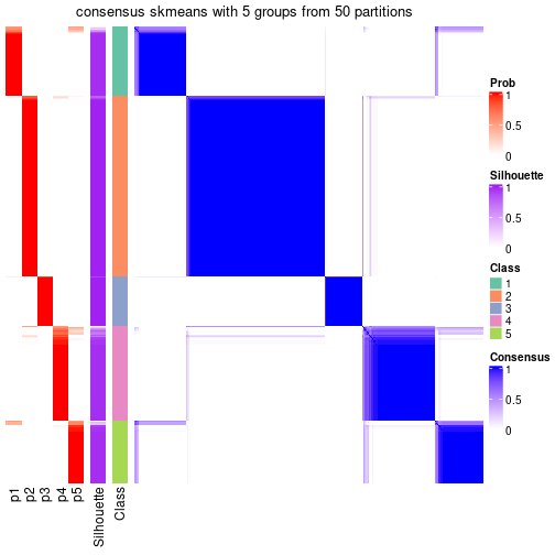 plot of chunk tab-node-0-consensus-heatmap-4