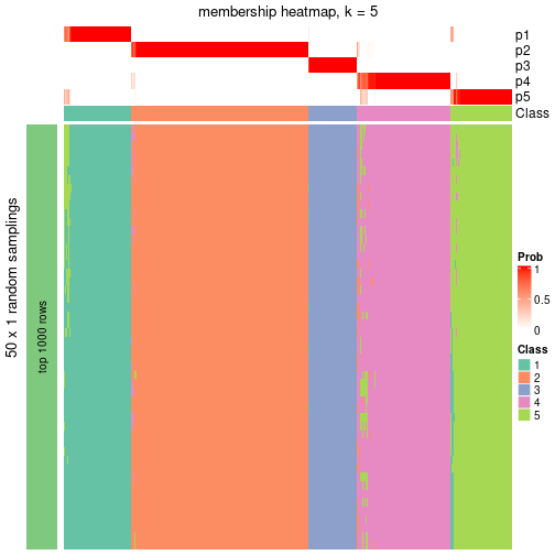 plot of chunk tab-node-0-membership-heatmap-4