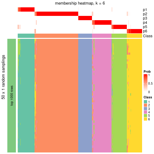 plot of chunk tab-node-0-membership-heatmap-5