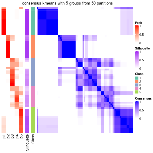 plot of chunk tab-node-01-consensus-heatmap-4