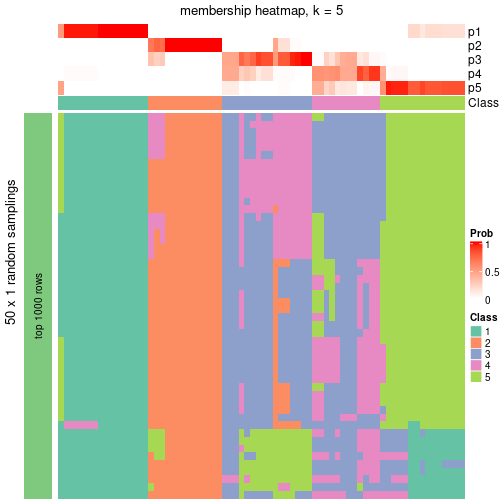 plot of chunk tab-node-01-membership-heatmap-4