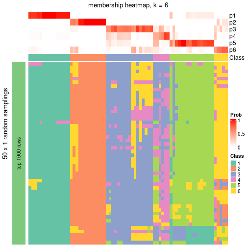 plot of chunk tab-node-01-membership-heatmap-5