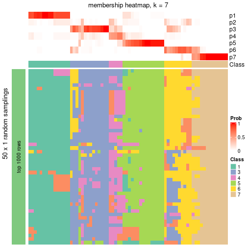 plot of chunk tab-node-01-membership-heatmap-6