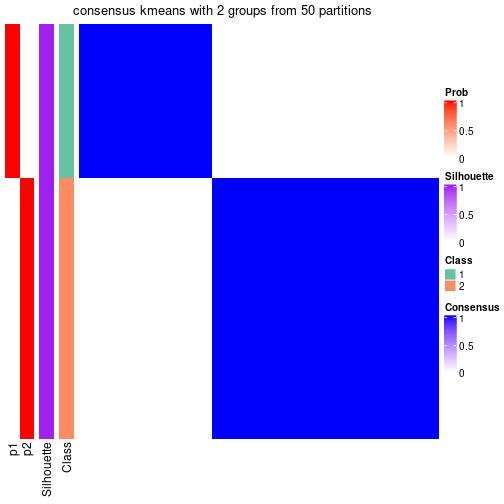 plot of chunk tab-node-011-consensus-heatmap-1