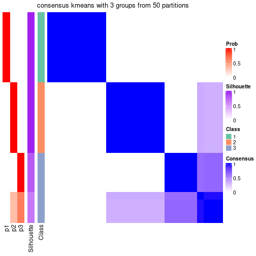 plot of chunk tab-node-011-consensus-heatmap-2