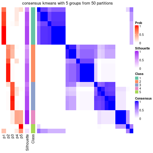 plot of chunk tab-node-011-consensus-heatmap-4