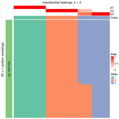 plot of chunk tab-node-011-membership-heatmap-2