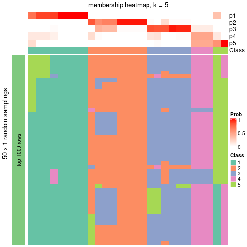 plot of chunk tab-node-011-membership-heatmap-4