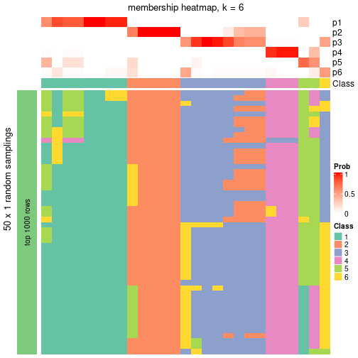 plot of chunk tab-node-011-membership-heatmap-5