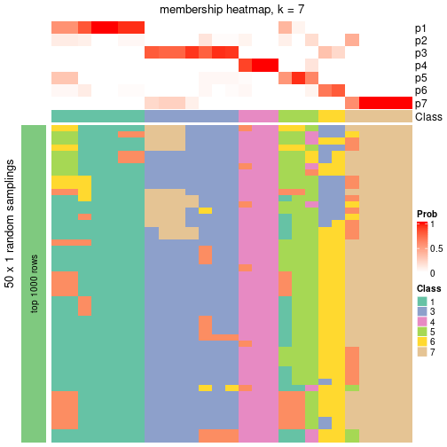 plot of chunk tab-node-011-membership-heatmap-6