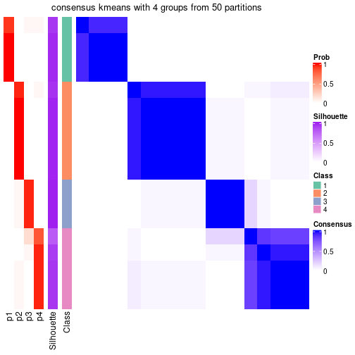 plot of chunk tab-node-012-consensus-heatmap-3