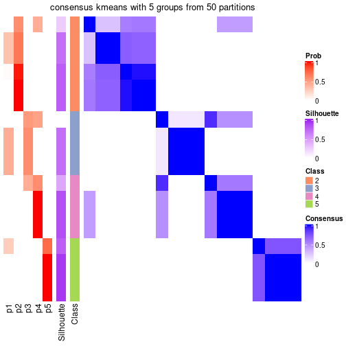 plot of chunk tab-node-012-consensus-heatmap-4