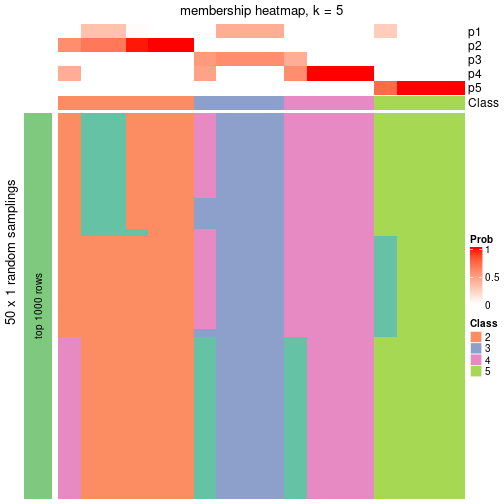 plot of chunk tab-node-012-membership-heatmap-4