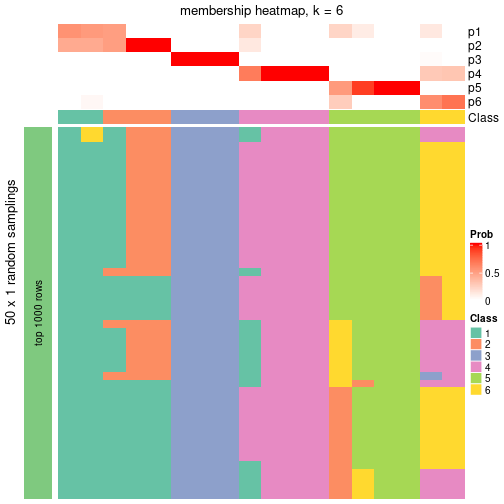 plot of chunk tab-node-012-membership-heatmap-5