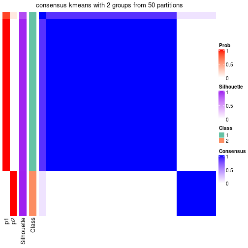 plot of chunk tab-node-013-consensus-heatmap-1