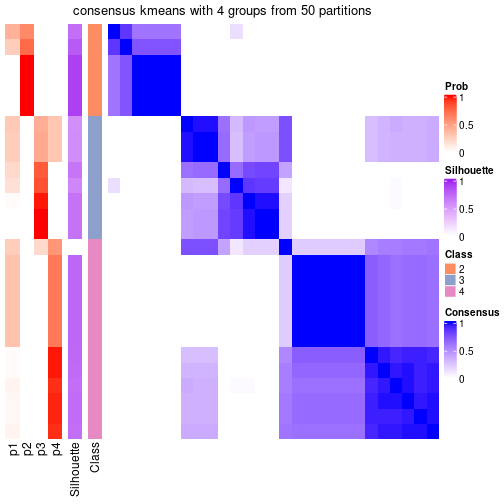 plot of chunk tab-node-013-consensus-heatmap-3