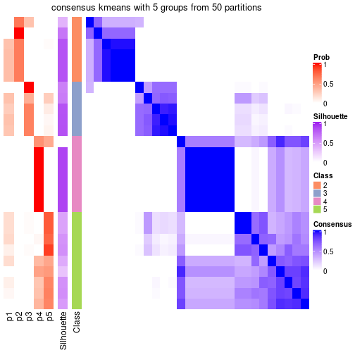 plot of chunk tab-node-013-consensus-heatmap-4