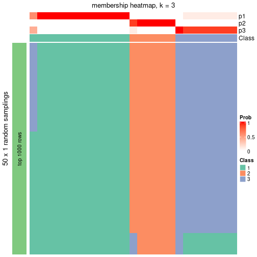 plot of chunk tab-node-013-membership-heatmap-2