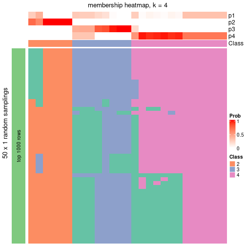 plot of chunk tab-node-013-membership-heatmap-3