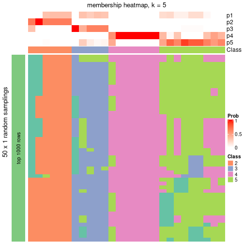 plot of chunk tab-node-013-membership-heatmap-4