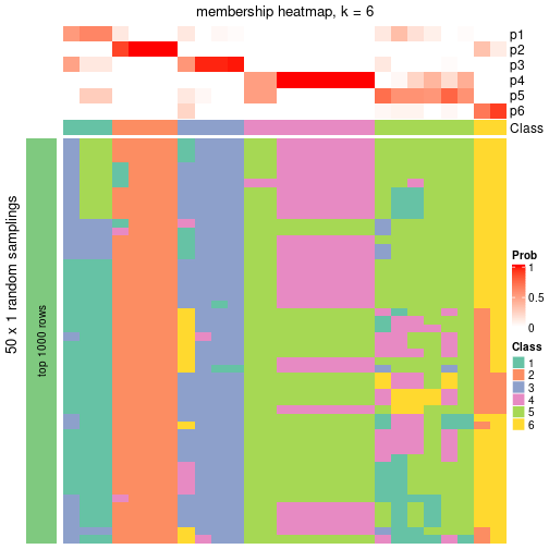 plot of chunk tab-node-013-membership-heatmap-5