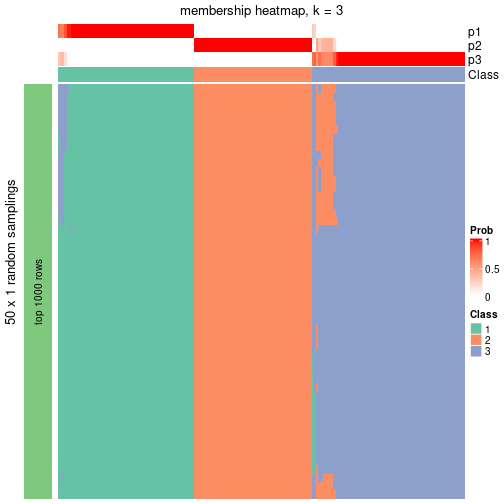 plot of chunk tab-node-02-membership-heatmap-2