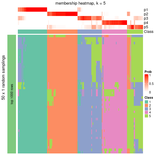 plot of chunk tab-node-02-membership-heatmap-4