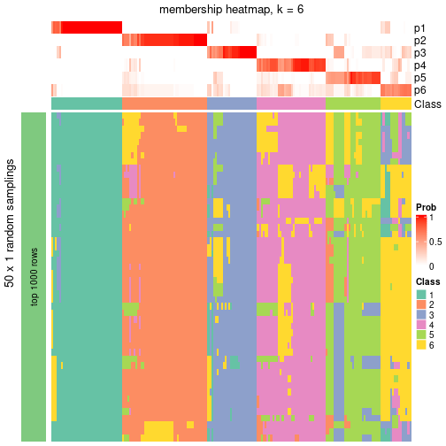 plot of chunk tab-node-02-membership-heatmap-5