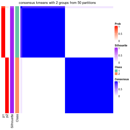 plot of chunk tab-node-021-consensus-heatmap-1