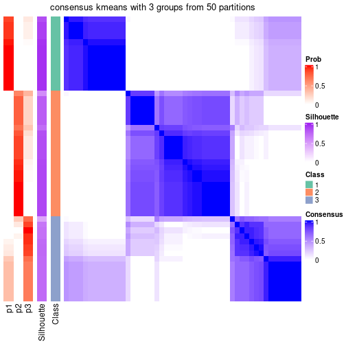 plot of chunk tab-node-021-consensus-heatmap-2