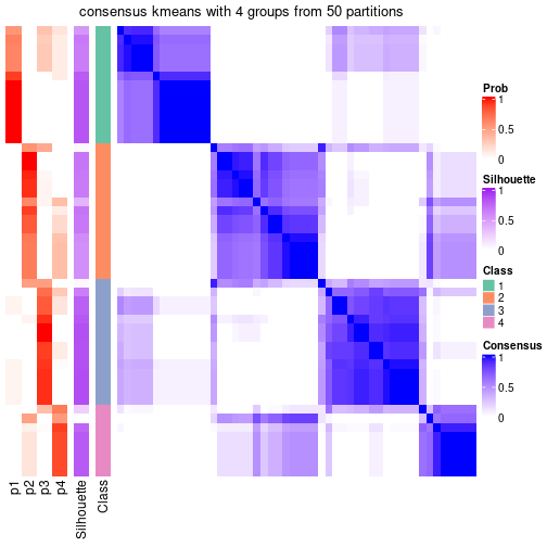 plot of chunk tab-node-021-consensus-heatmap-3