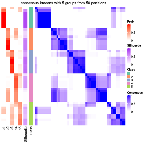 plot of chunk tab-node-021-consensus-heatmap-4