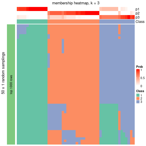 plot of chunk tab-node-021-membership-heatmap-2