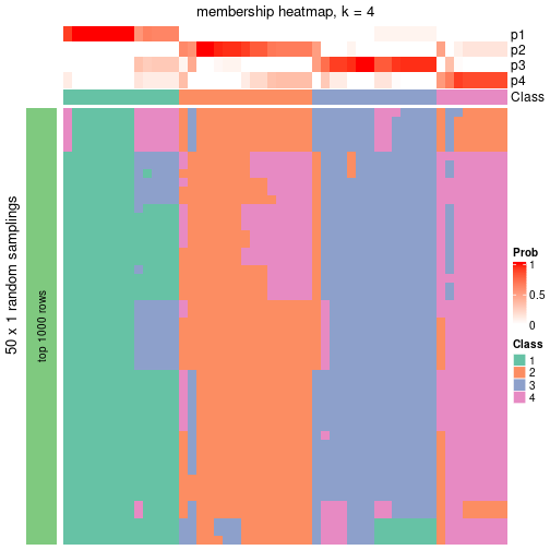 plot of chunk tab-node-021-membership-heatmap-3